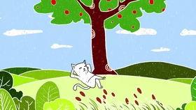 看花和吃瓜视频动画片,动画奇遇记