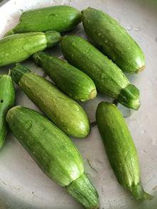 小角瓜能腌着吃吗视频,美味腌制新尝试