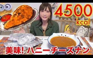 吃货尼加拉瓜视频大全集,吃货尼加拉瓜视频大全集精华盘点