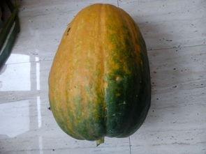 怎么做吃大瓜视频,跟着视频学做美味家常菜