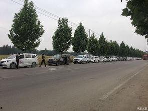 曹县八里湾吃瓜事件视频,一场引发热议的网络奇观