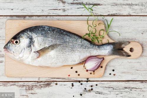 一只鱼直播间吃瓜视频,一场别开生面的吃瓜盛宴