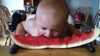 宝宝吃瓜可爱视频大全集,可爱视频大盘点