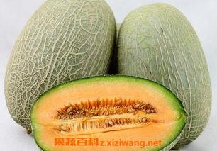 哈密瓜炒着吃搞笑视频在线观看,搞笑视频笑翻网友