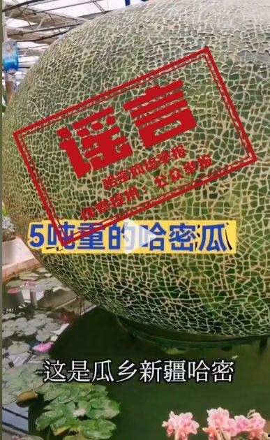 抖音短视频吃哈密瓜