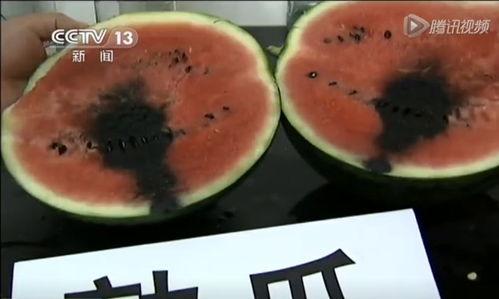 长条西瓜吃瓜视频大全