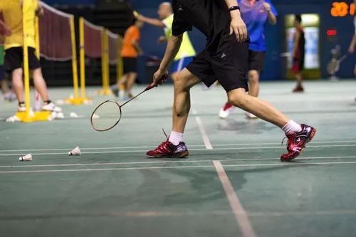 吃瓜打球解说视频下载