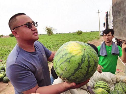 介休吃瓜视频图片最新