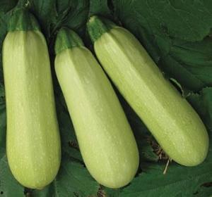 昌吉最新吃瓜事件视频