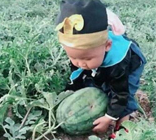 孙子给老太吃哈密瓜视频,与老太共享哈密瓜甜蜜时光