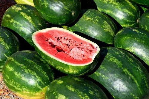 现场实拍吃瓜图片视频