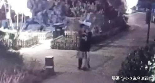 韩城吃瓜杀手事件视频