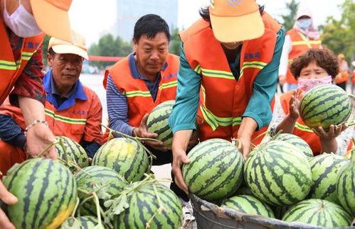 郯城吃瓜事件视频最新