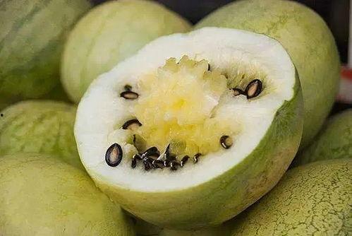 有芽子的籽瓜可以吃吗视频,食用安全与营养价值探讨